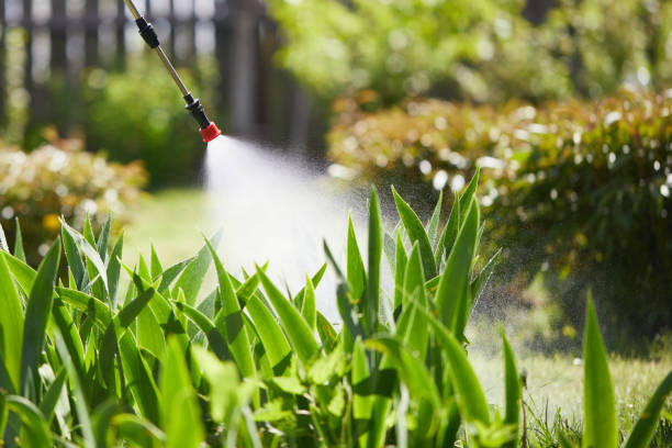 24/7 Emergency Mosquito Control experts in Wilkesboro, NC