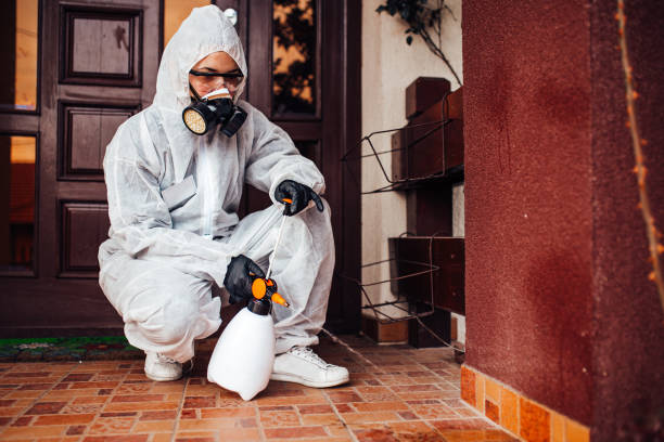 Reliable Mosquito Control contractor in Wilkesboro, NC by Show Me Pest Control